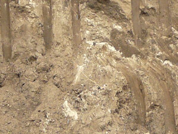 Texture of dark brown dirt wall with smooth vertical marks dug into it and an area of green and yellow grass at the top.